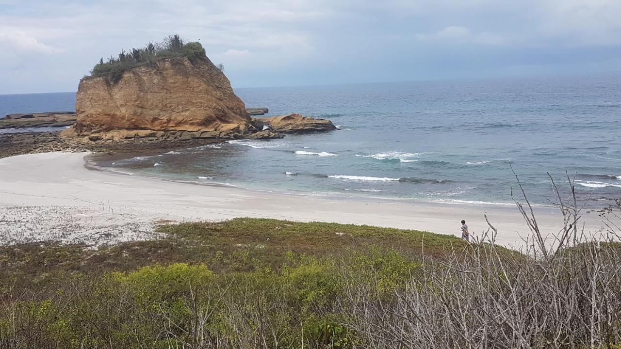 Hospedaje Algarrobo מאצ'אלייה מראה חיצוני תמונה
